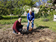 Le potager